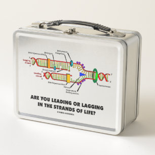 Lunch Box Tu Diriges Ou Te Retardes Dans Les Mains De La Vie