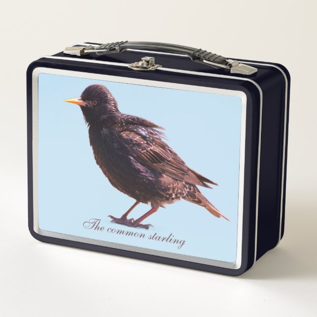 Lunch Box Un étourneau  (Devant)