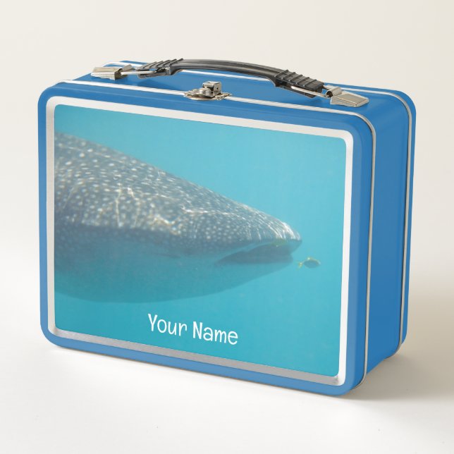 Lunch Box Whaleshark Fermer Portrait Ocean Australia (Devant)