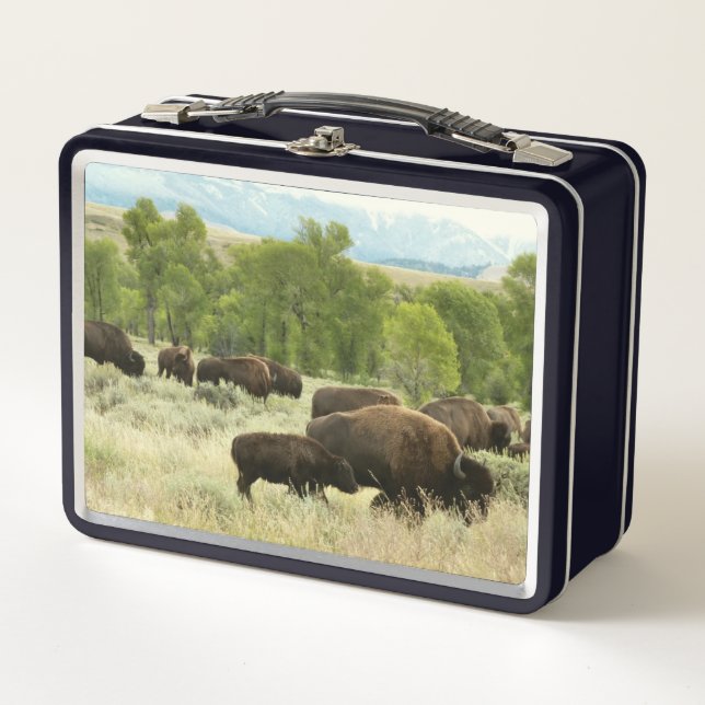 Lunch Box Wyoming Bison Nature Animal Photographie (Devant)