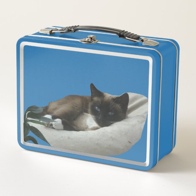 Lunchbox de chats de Siamese (Devant)