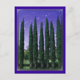 Lundblade Conifers - Starry Eve, carte postale