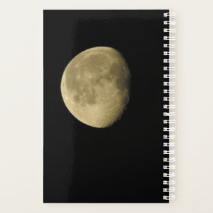 Lune