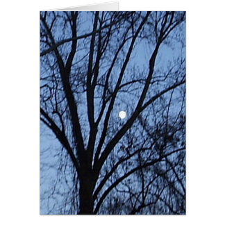 Lune de cirage