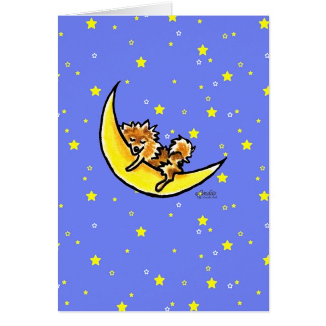 Lune de Poméranie (Devant)