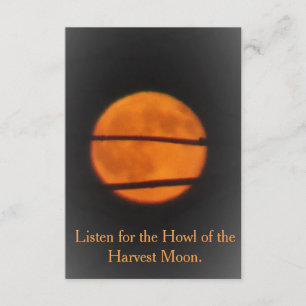 Lune de récolte - mille de prairie - invitation