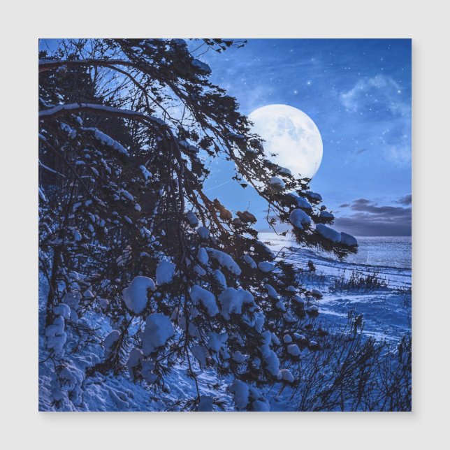 Lune sur le sapin enneigé et la côte de la mer la  (Devant)