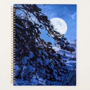 Lune sur le sapin enneigé et la côte de la mer la