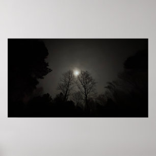Lune sur les arbres, affiche