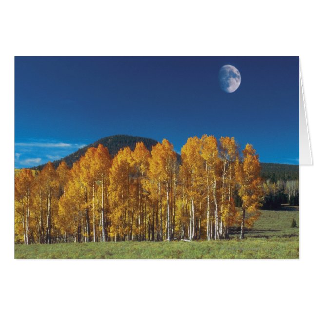 Lune sur un paysage, Vallée du Monument Navajo (Devant horizontal)