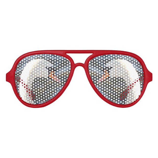 Lunettes De Fête Aviateur Blancs Retro Party Shades, Rouge (Devant)