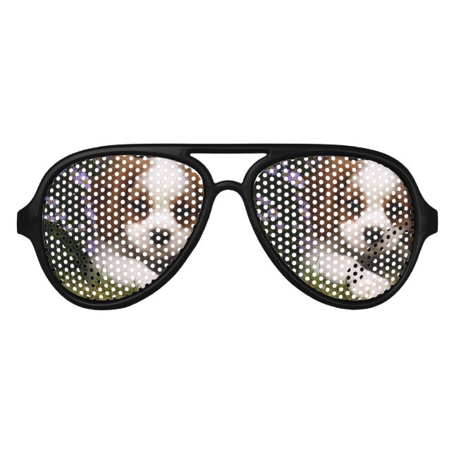 Lunettes De Fête Aviateur Cavalier King Charles Spaniel (Devant)