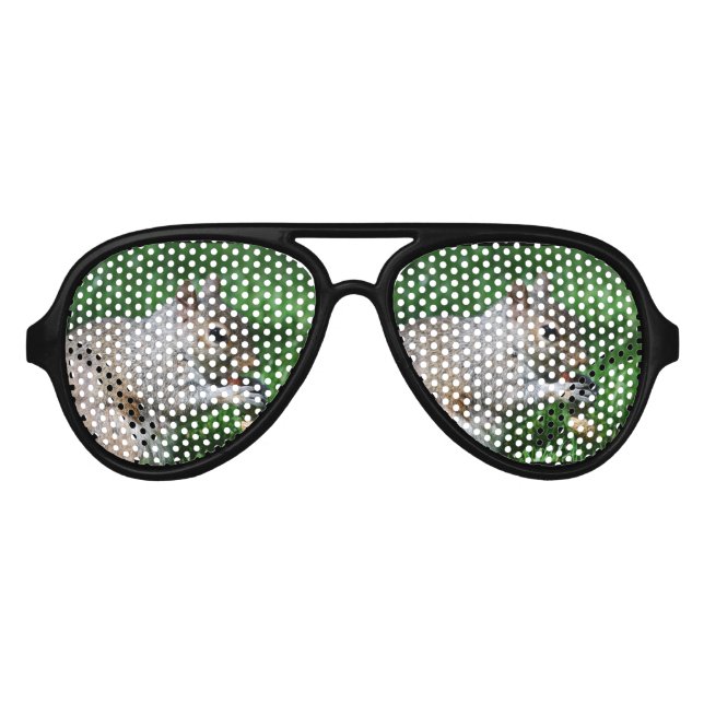 Lunettes De Fête Aviateur Écureuil à la noix (Devant)