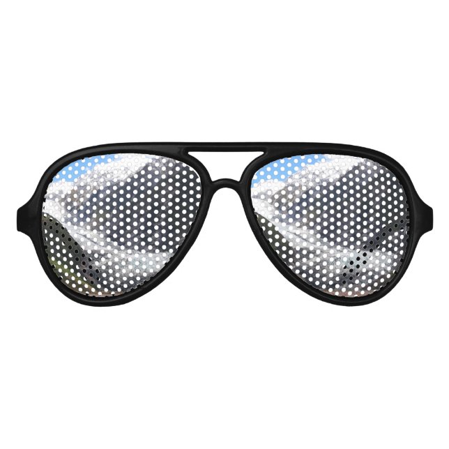 Lunettes De Fête Aviateur Franz Josef Glacier, Nouvelle-Zélande (Devant)