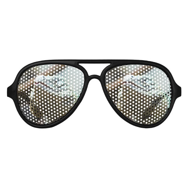 Lunettes De Fête Aviateur Grand Cayman Iguana (Devant)