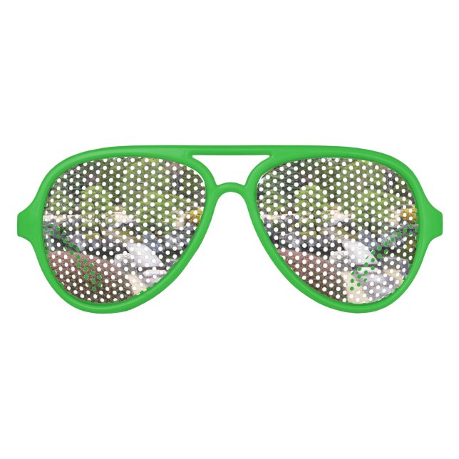 Lunettes De Fête Aviateur Jardin japonais 日 本 庭 園 (Devant)