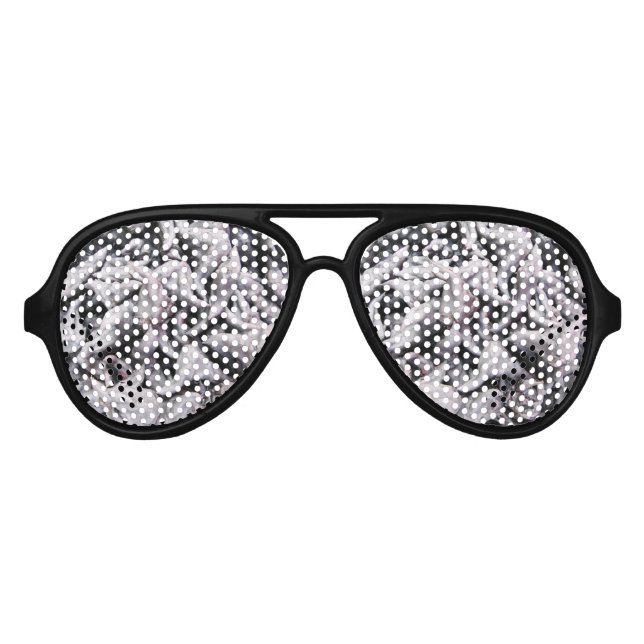 Lunettes De Fête Aviateur Noix de buffle - Water Caltrop (Devant)