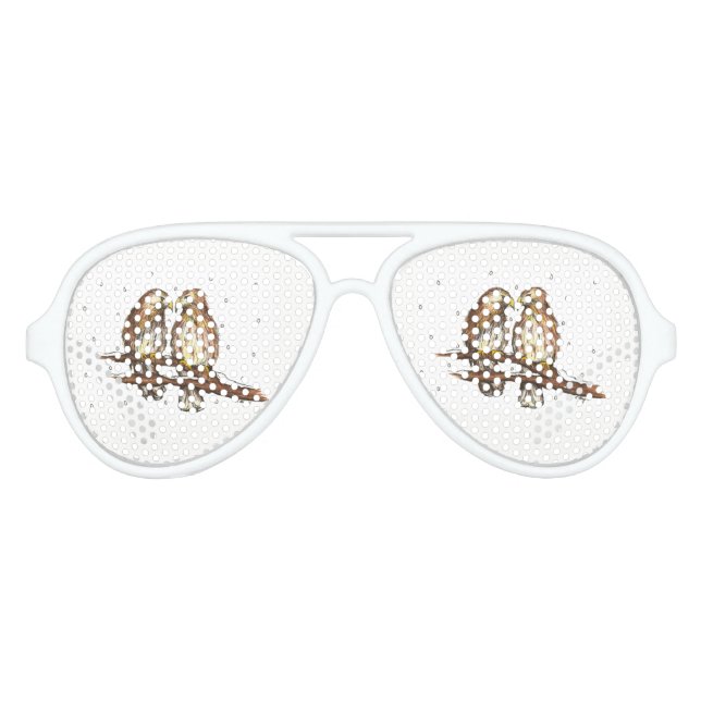 Lunettes De Fête Aviateur Observation des oiseaux Inséparables d'hiver neige (Devant)