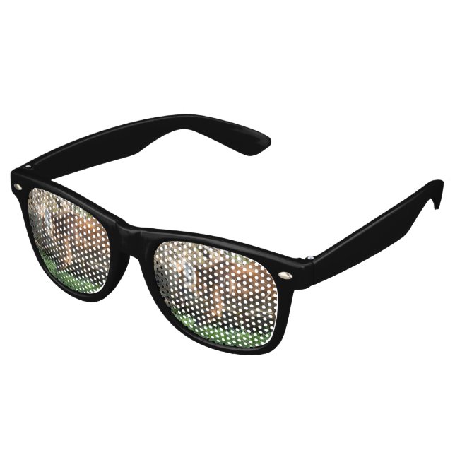 Lunettes De Fête Retro Brachyurus de Chrysocyon (Angulaire)
