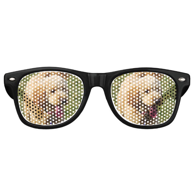 Lunettes De Fête Retro Chien Goldendoodle (Devant)