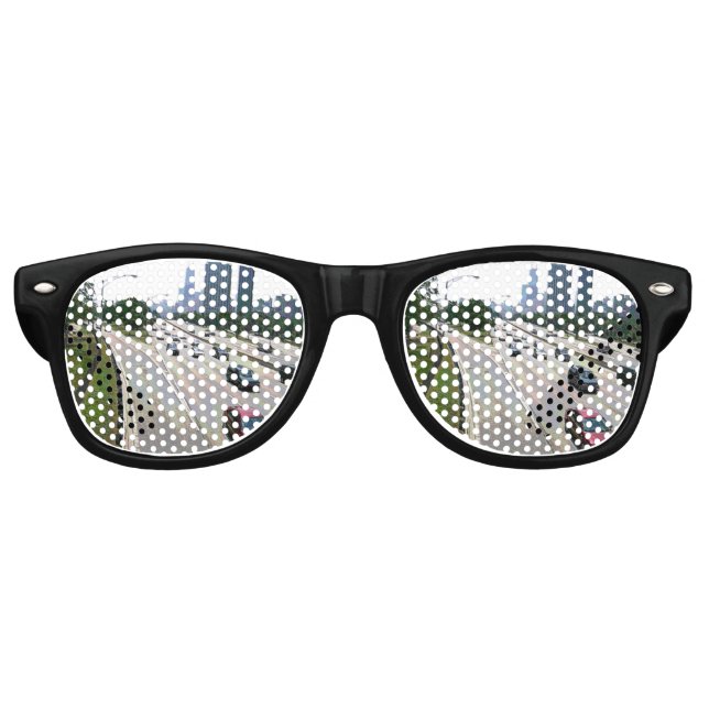 Lunettes De Fête Retro Circulation à Chicago dans le grès (Devant)