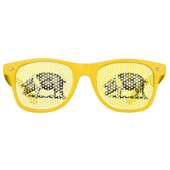 Lunettes De Fête Retro Cochon (Devant)