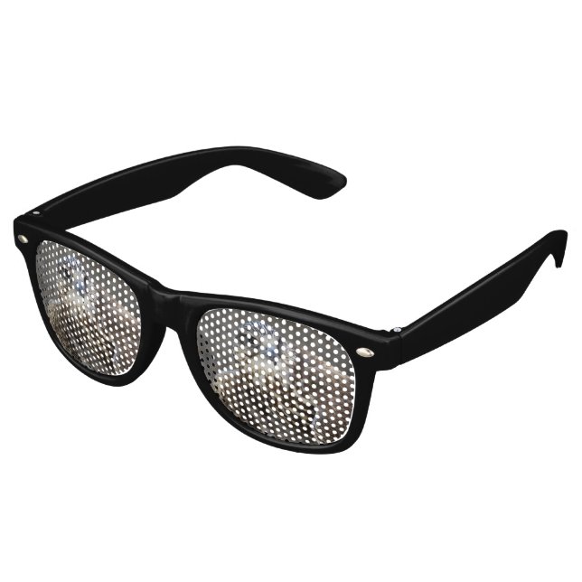 Lunettes De Fête Retro Faucon (Angulaire)