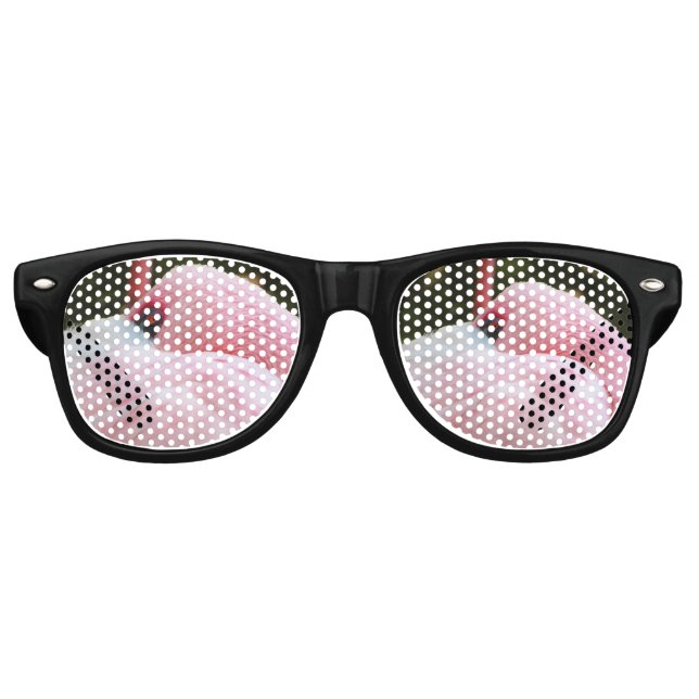 Lunettes De Fête Retro Flamant rose (Devant)