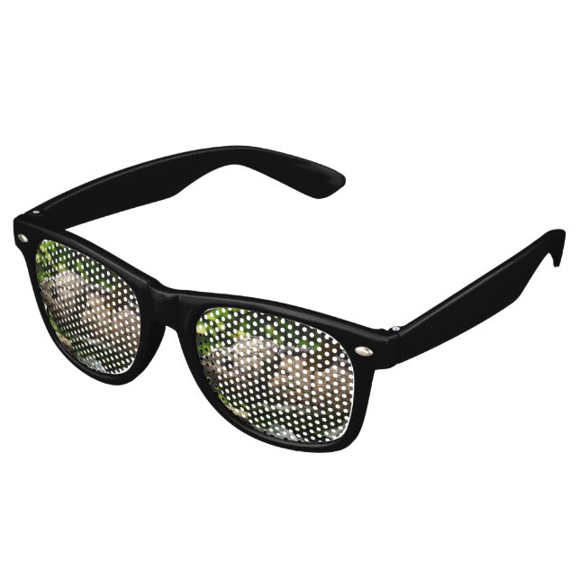 Lunettes De Fête Retro Furcifer oustaleti (Angulaire)