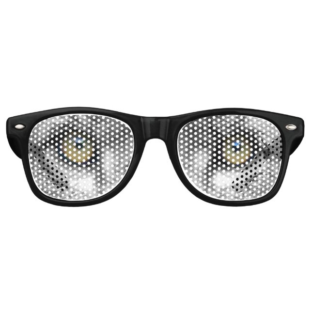 Lunettes De Fête Retro Oeil de lion (Devant)