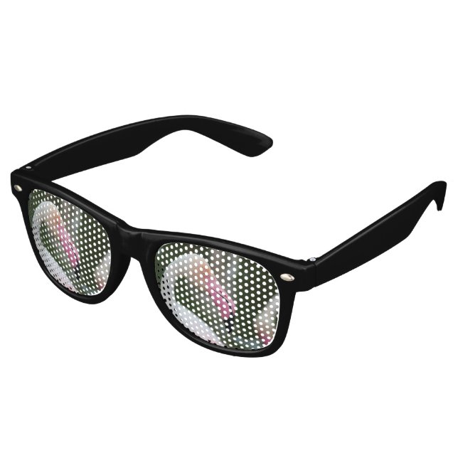Lunettes De Fête Retro Phoenicopterus roseus (Angulaire)