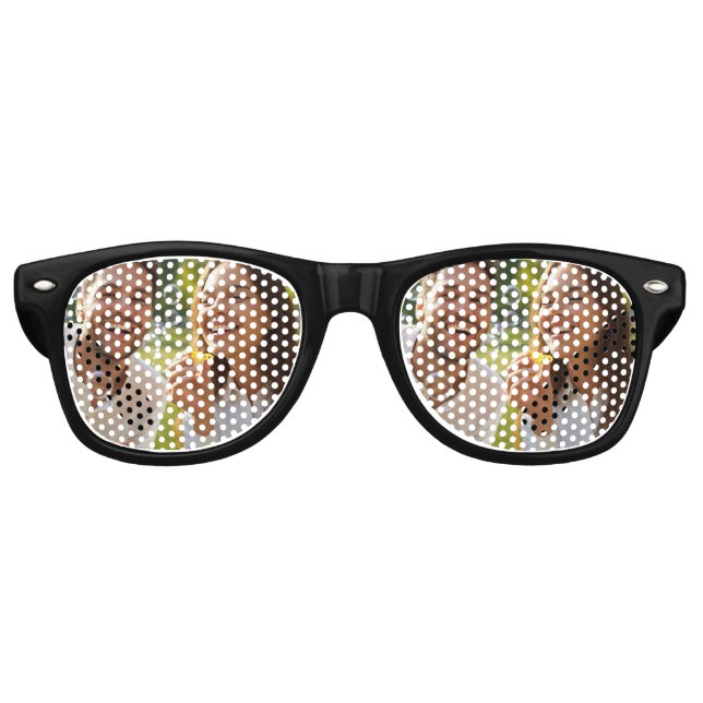 Lunettes De Fête Retro Pic amusant (Devant)