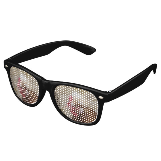 Lunettes De Fête Retro Sulmtaler Hen (Angulaire)