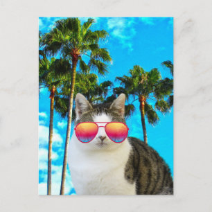 LUNETTES DE SOLEIL CHAT DE PLAGE CARTES POSTALES