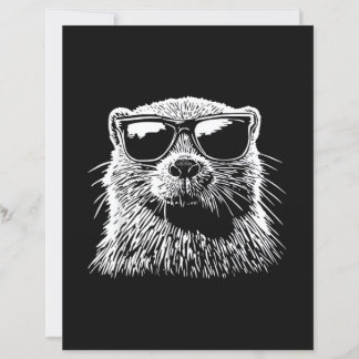 Lunettes de soleil de castor