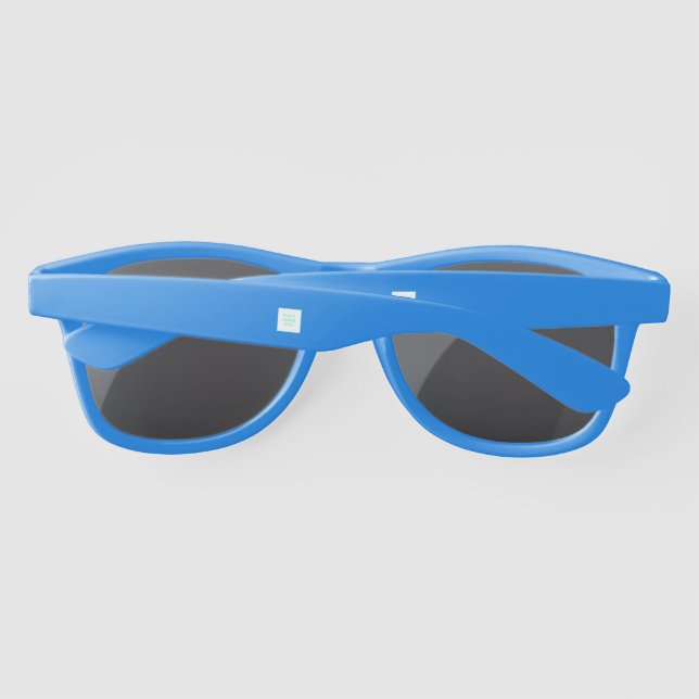 Lunettes de soleil en plastique bleu (Dos)