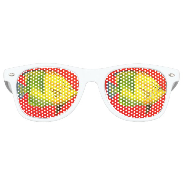 Lunettes de soleil Fish Eyes (Devant)