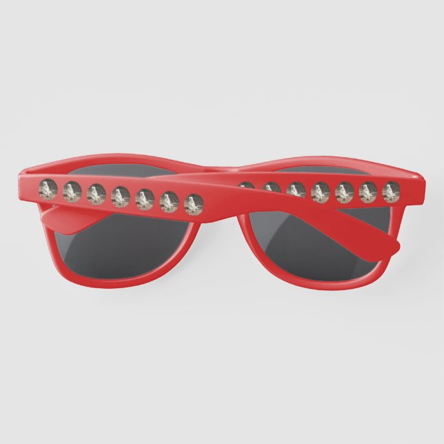 Lunettes De Soleil Meerkat Blanc En Cercles, Sommaires (Dos)