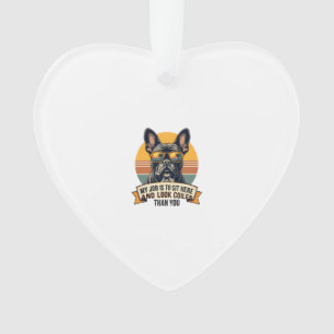 Lunettes de soleil vintage pour bouledogue françai