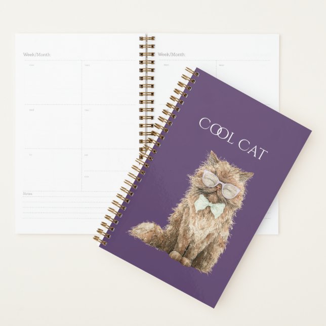 Lunettes marron chat cool   (Devant avec enveloppe)