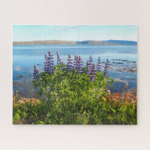 Lupins par un fjord islandais Jigsaw Puzzle