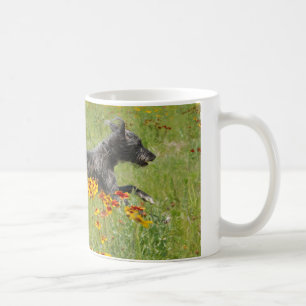 Lurcher courant par un gisement de fleur - tasse