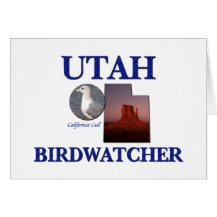 L'Utah Birdwatcher