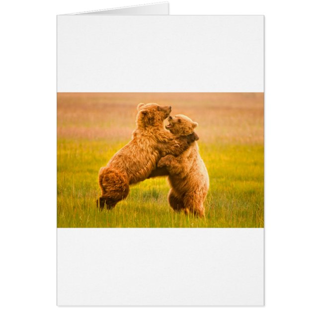 Lutte contre les ours grizzlis (Devant)