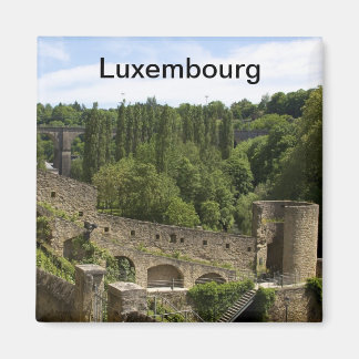 Luxembourg Ruines Magnet