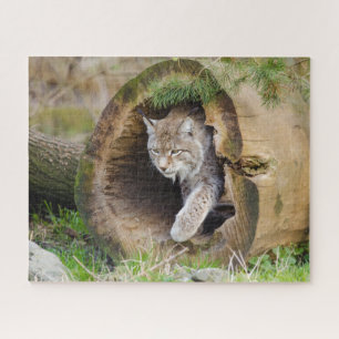 Lynx dans le puzzle de scie de journal