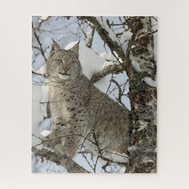 Lynx dans le Puzzle photo en hiver (Vertical)