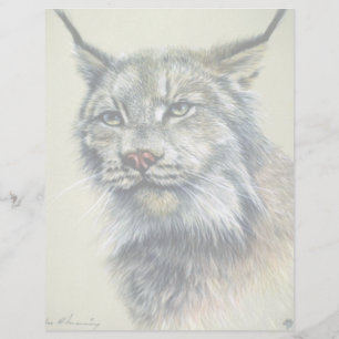 Lynx (étude principale)