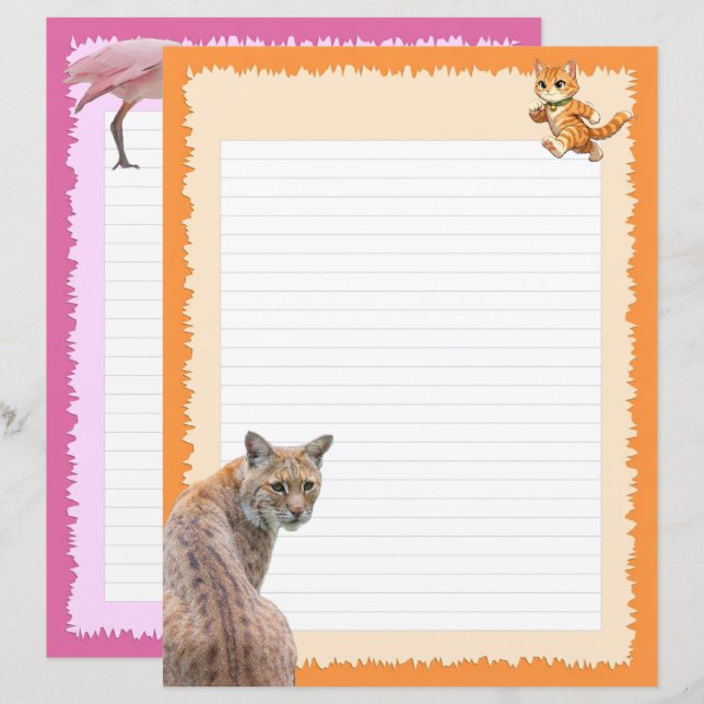 Lynx roux (p1) et oiseaux (P2 - Spatules rosées)  (Devant / Derrière)