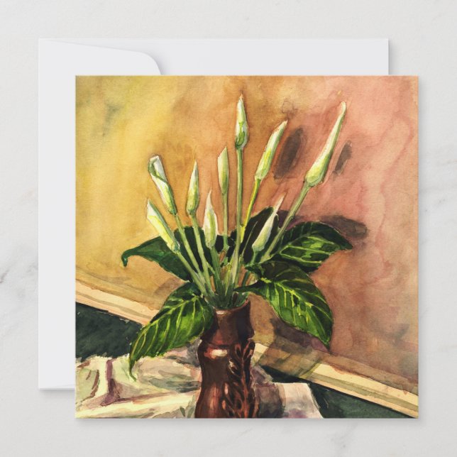 Lys calla (Devant)